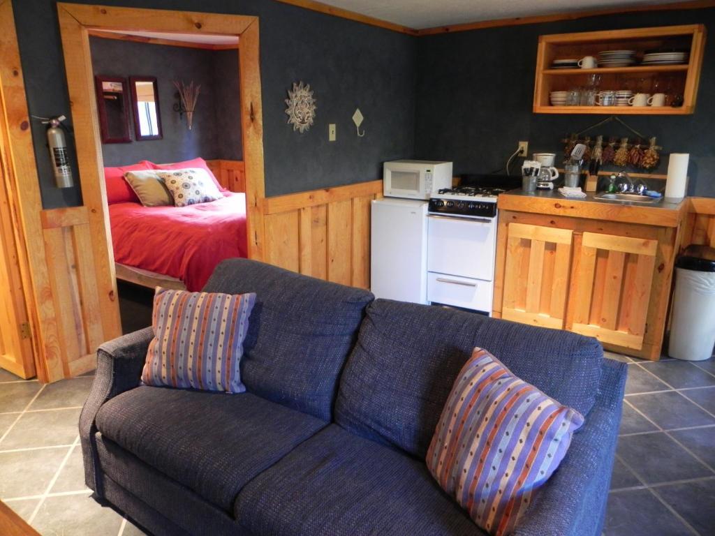 Apache Village Cabinsルイドソ 部屋 写真